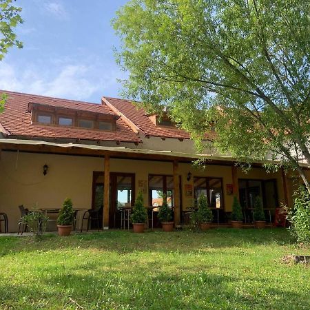 Szitakoeto Panzio Balatonfůzfő Esterno foto